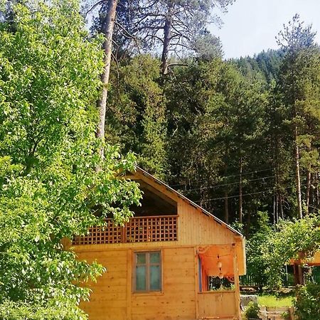 Guest House Ilia Bordžomi Exteriér fotografie