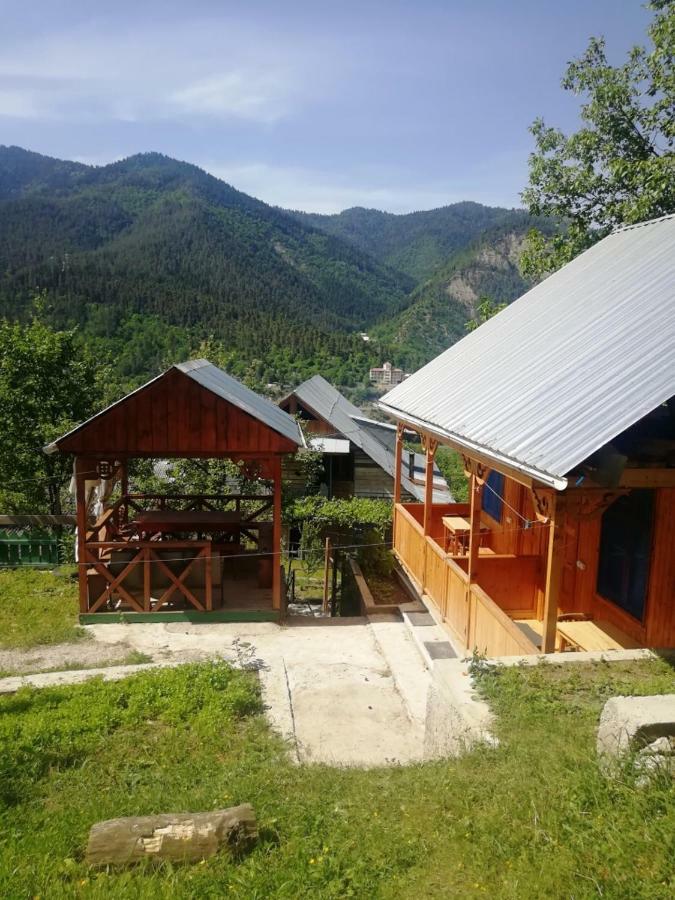 Guest House Ilia Bordžomi Exteriér fotografie
