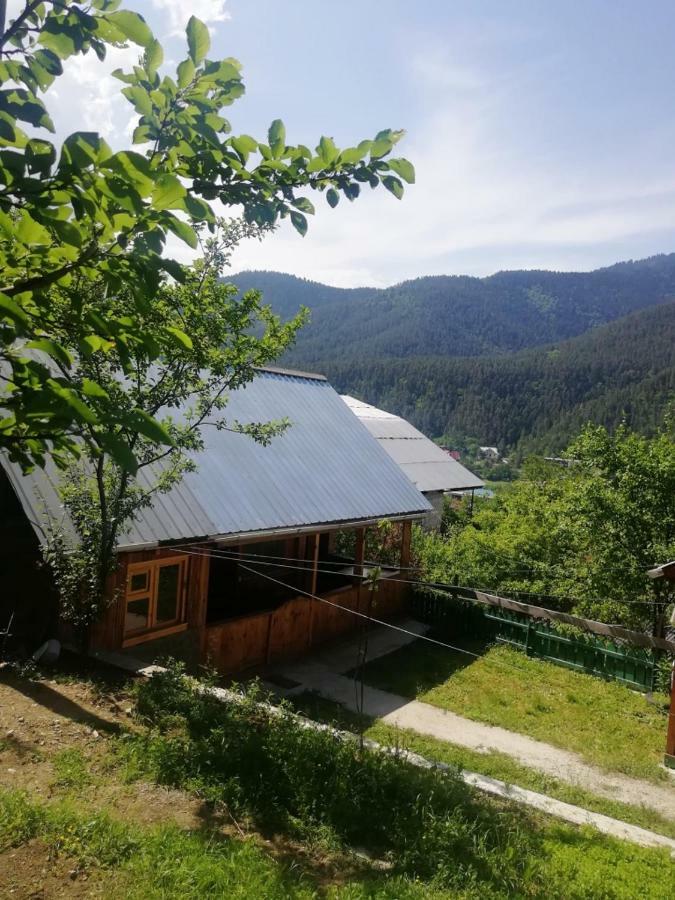 Guest House Ilia Bordžomi Exteriér fotografie