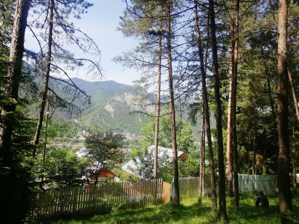 Guest House Ilia Bordžomi Exteriér fotografie