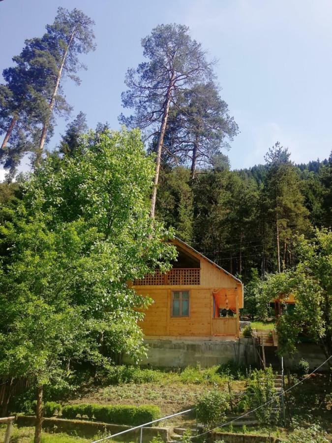 Guest House Ilia Bordžomi Exteriér fotografie