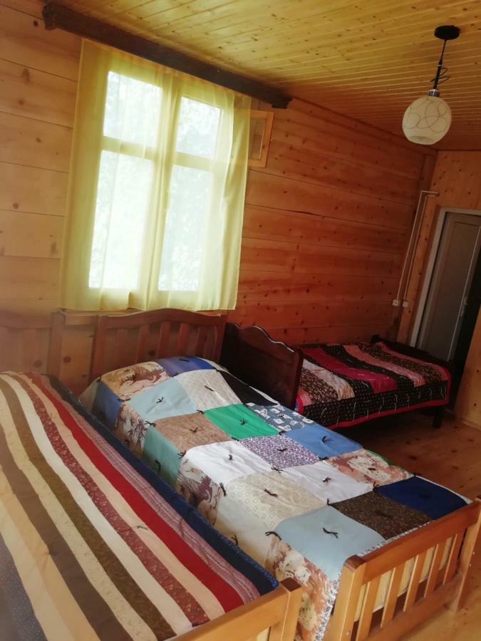 Guest House Ilia Bordžomi Exteriér fotografie