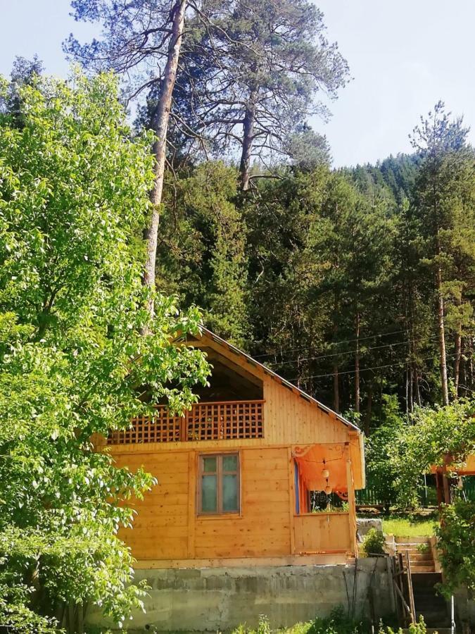 Guest House Ilia Bordžomi Exteriér fotografie